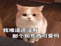 崇礼区鑫盛饭店