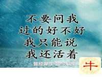 崇礼区鑫盛饭店