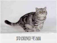 崇礼区鑫盛饭店