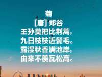 崇礼区鑫盛饭店