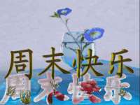 崇礼区鑫盛饭店
