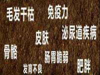 崇礼区鑫盛饭店