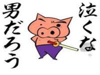 崇礼区鑫盛饭店