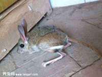 崇礼区鑫盛饭店