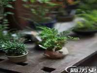 崇礼区鑫盛饭店